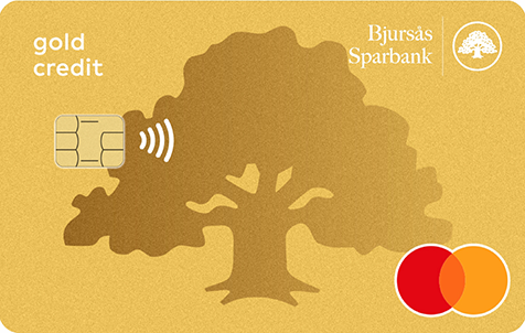 MasterCard Gold credit