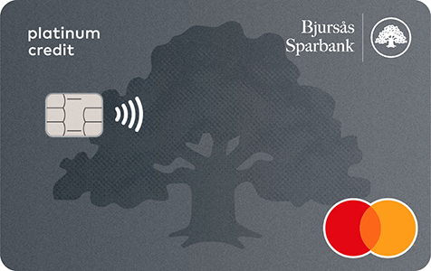 Betal- och kreditkort Mastercard Platinum