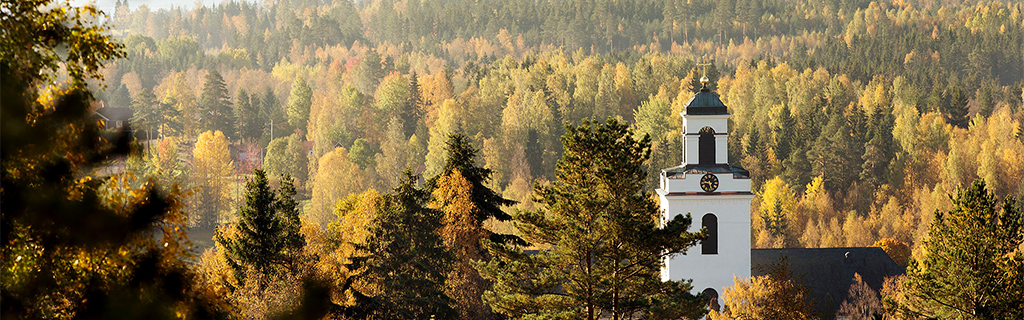 kyrka i höstmiljö