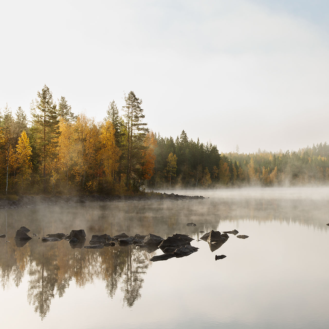 lake_during_fall