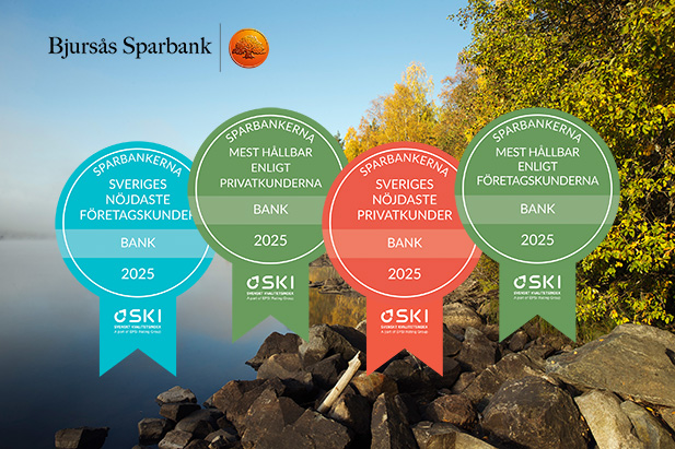 Lake at fall with SKI medals in front