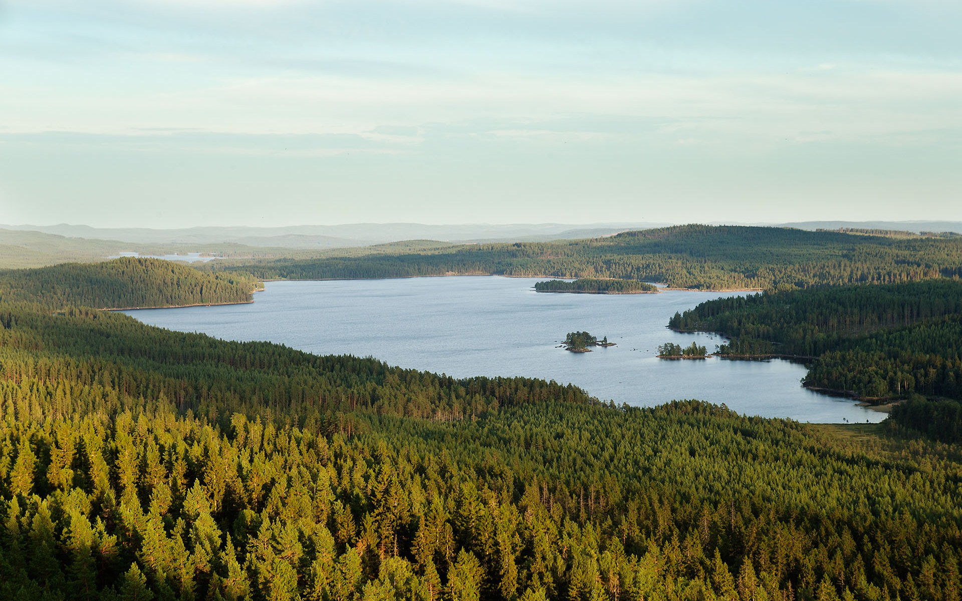 Vy över skog och sjö